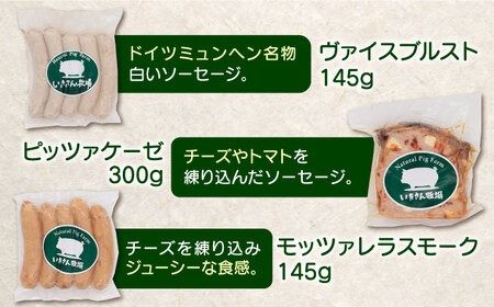 一貴山豚 ハム・ソーセージ 9種セット 『極』 糸島市 / いきさん牧場 豚 肉 [AGB024] 豚肉 セット ハム ソーセージ セット スライス スモーク ギフト セット