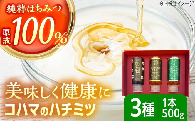 コハマのハチミツ 500g 3本セット 蜂蜜 はちみつ ハチミツ 国産 ギフト 年内発送 沖縄市 / 農業生産法人株式会社小浜養蜂場[BCAQ005] 