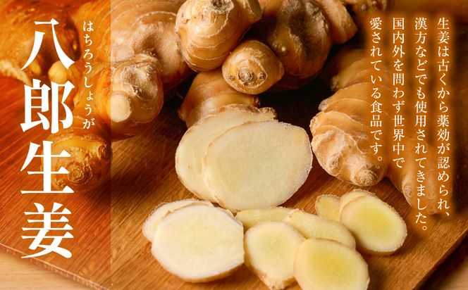 八郎生姜 2kg しょうが ショウガ ガリ ジンジャー 野菜 食品 薬味 生姜焼き しょうが焼き 温活 冷え性 対策 熊本県 八代市 東陽町 産地直送 国産