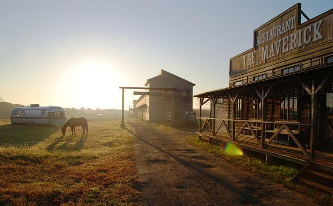 [SUNSHINE STABLES]利用補助券（3,000円分） 体験チケット チケット 