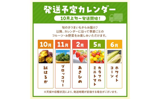 まつみやファーム獲れたて野菜・フルーツ5種定期便 ふるさと納税 果物 くだもの フルーツ ふるーつ 野菜 やさい 芋 穀物 紅はるか さつまいも いちご イチゴ 苺 ホワイトコーン 農家応援 生産者応援 送料無料　MY00022