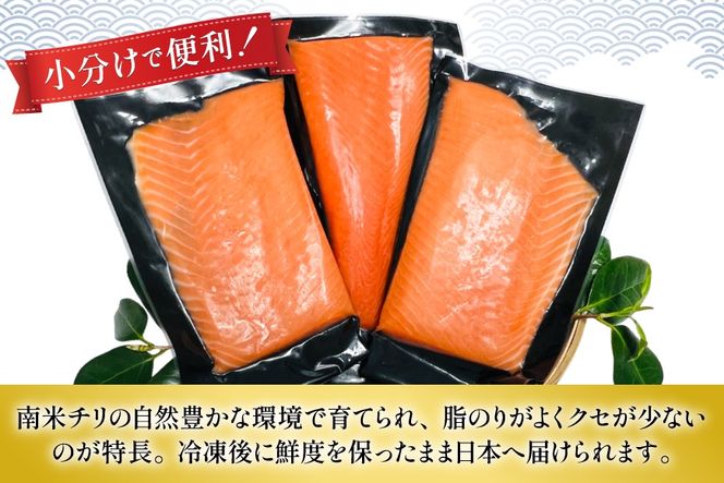 訳あり サーモン 刺身 とろサーモン 約200g×3パック 計600g [たみこの海パック 宮城県 南三陸町 m304amh560071] 魚 魚介類 海鮮 さしみ 生食 鮭 さけ トラウト ハラミ トロ 冷凍 小分け