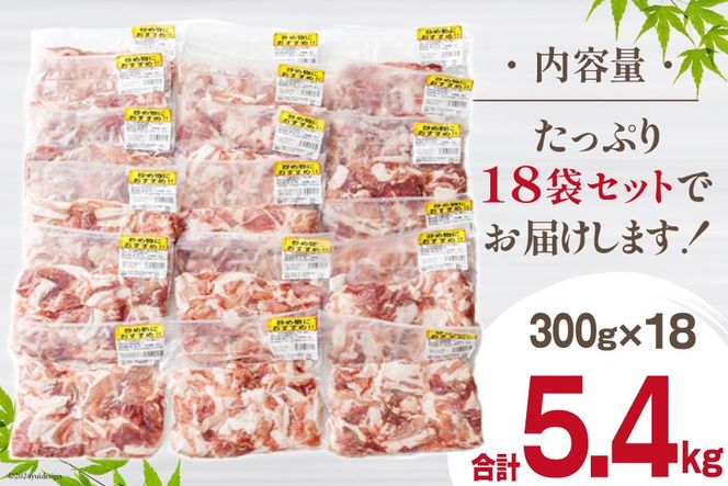 豚肉 小分け 切り落とし 300g×18袋 合計5.4kg [甲斐精肉店 宮崎県 美郷町 31as0047] 冷凍 宮崎県産 豚肉 送料無料 ウデ 腕 切落し 炒め物 料理 調理 おかず 大容量 真空包装 収納スペース 豚丼 生姜焼き 豚汁 BBQ バーベキュー キャンプ 焼肉