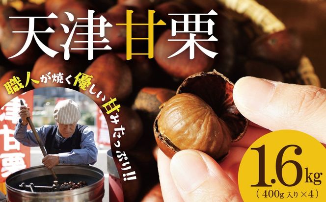 【予約受付】（新栗をお届け）この道50年の職人が焼く､やさしい甘みたっっっぷり！｢天津甘栗｣ 1.6kg 焼きたて 栗 くり 栗爪 殻付き お菓子 おつまみ 人気 高リピート 小分け 栗ご飯 栗きんとん 甘露煮 碧南市 H045-096
