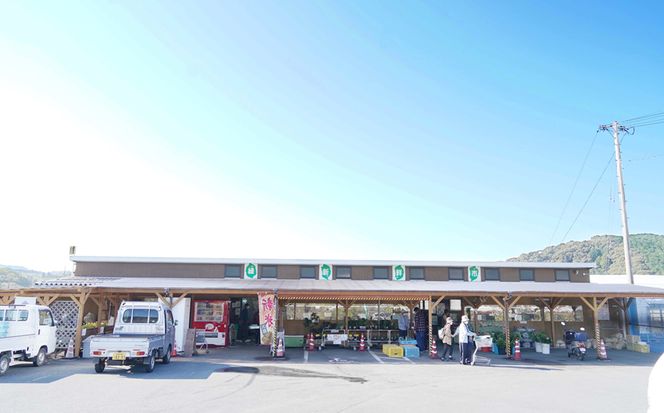 6回お届け　季節の旬野菜詰合せ