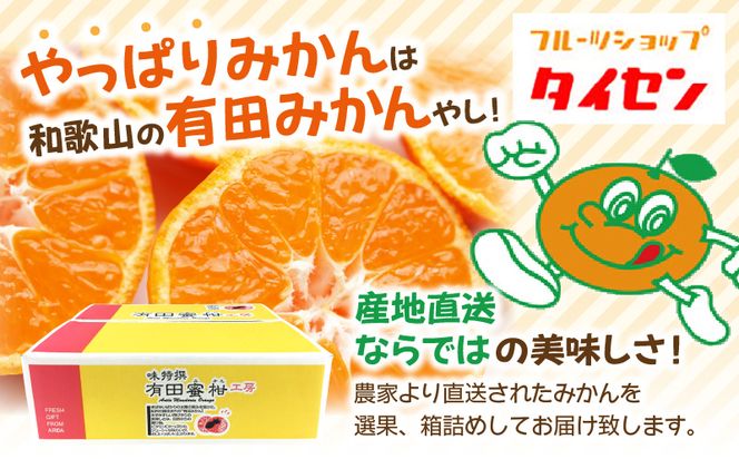 ZJ6097_【2026年先行予約】果物ランキング1位獲得！ 総合ランキング6位獲得！TVで紹介されました！リピーター続出 みかん 温州みかん フルーツ 果物 柑橘 果実 甘味 酸味 ジューシー 人気 国産 食べ物 産地直送 和歌山県 湯浅町 送料無料 家庭用 和歌山 有田みかん 約5kg (SS、Sサイズ) 湯浅町