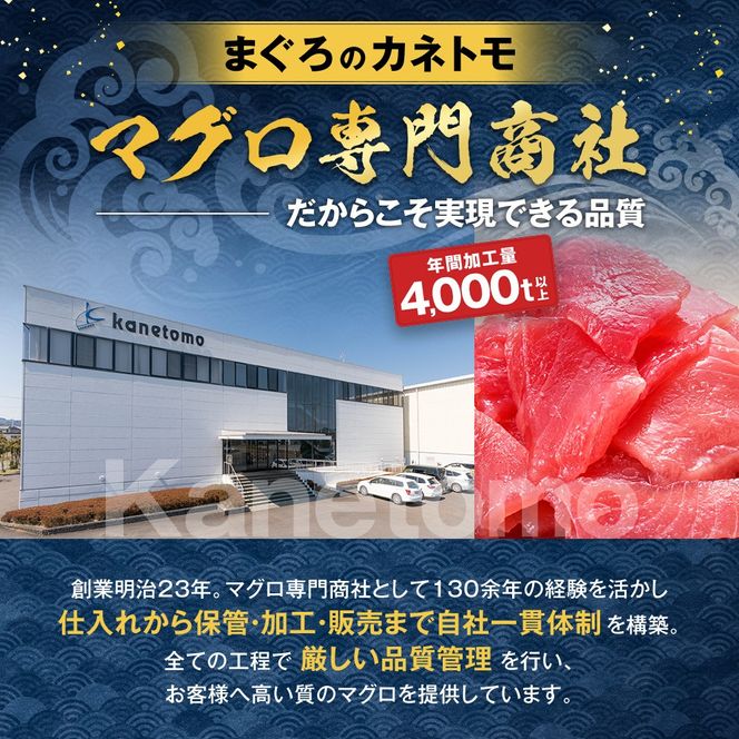 極みシリーズ マグロ 食べ比べセット 赤身 中とろ 大とろ 合計約1kg 詰合せ 本鮪 本マグロ 食べ比べ 大トロ 中トロ 定型柵 刺身 まぐろ 解凍 鮪 漬け マグロ ユッケ 海鮮 魚 魚類 ふるさと納税 静岡県 藤枝市