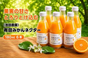 みかん ネクター 100％ ジュース / 温州みかん 有田みかん 果汁 無添加 柑橘 和歌山 9000円 180ml ※北海道・沖縄・離島への配送不可 //drink【ikd100-to180-6】