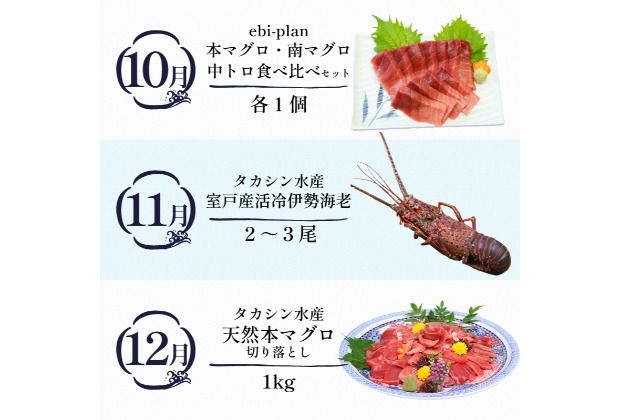 【定期便 12回】室戸まるごと定期便 海鮮コース 海鮮 魚介 かつお 本マグロ ネギトロ 伊勢海老 鰹 かつおのたたき マグロ 鮪 イセエビ 魚介類 海の幸 海鮮定期便 高知県 室戸市