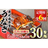 【1504304b】＜定期便・全6回＞東串良町のうなぎ蒲焼(無頭)(5尾・計約750g・タレ、山椒付×6回)うなぎ 高級 ウナギ 鰻 国産 蒲焼 蒲焼き たれ 鹿児島 ふるさと 人気【アクアおおすみ】