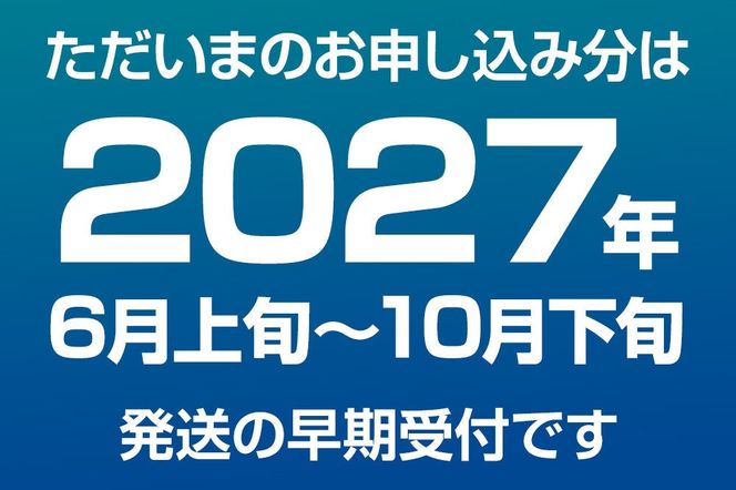 産地直送 ボタンエビ 約1kg！ ぷりっぷりでとろける甘さ お刺身や海鮮丼に 秋田県 男鹿市 萬漁水産 [産地直送 新鮮 刺身 海鮮丼]|23_mgs-031001