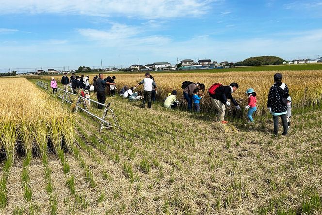 新米 コシヒカリと彩のきずな 食べ比べセット 計9kg｜おいしい お米 コメ こめ ご飯 ごはん 白米 アグリパーク お取り寄せ 直送 贈り物 贈答品 ふるさと納税 埼玉 杉戸 [0629]
