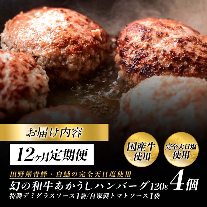 幻のあかうし和牛ハンバーグ 4個入り 12ヶ月定期便 1個120g 特製デミソース トマトソース付き 田野屋青蜂 白鯆 完全天日塩練り込み 肉 お肉 国産牛 おかず おいしい お取り寄せ 冷凍 配送 高知県 田野町