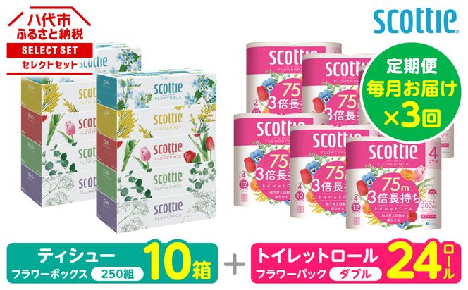 【定期便3回】【毎月お届け】【スコッティ】 組み合わせ ティシュー フラワーボックス 250組 10箱 計30箱 トイレットロール ダブル フラワーパック 3倍長持ち 24ロール 計72ロール ティッシュ トイレットペーパー 日用品 防災備蓄 ストック 備蓄 新生活 防災 消耗品 生活用品 日用消耗品 箱ティッシュ
