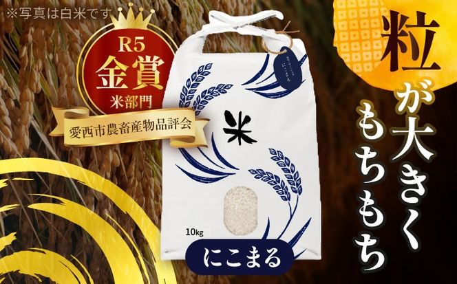 令和6年産　愛知県産　コシヒカリ・にこまる　玄米　各10kg　特別栽培米　お米　ご飯　愛西市／戸典オペレーター　[AECT015]