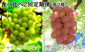 【数量限定】【2026年発送分 先行予約】【２回食べ比べ定期便・別送】シャインマスカット（２房）+サニードルチェ（２房）食べ比べ定期便（２回発送） ※本州限定　シャイン シャインマスカット フルーツ 果物 くだもの 山梨 やまなし サニードルチェ 食べ比べ 定期便