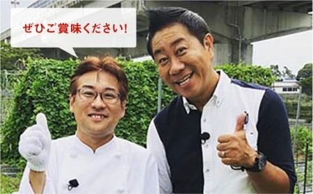 浅漬けの素 ハバネロ しょうゆ 200ml《糸島》【シェフのごはんやさん四季彩】【いとしまごころ】[ACC006] 醤油 タレ 漬け物 浅づけ ハバネロ 唐辛子 国産 たれ 調味料