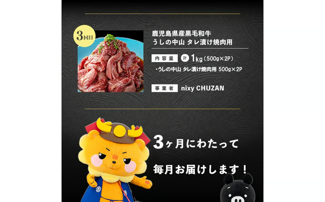 【定期便全3回】鹿児島県産黒毛和牛 焼肉 食べ比べコース！志布志うんまか定期便 t0070-010