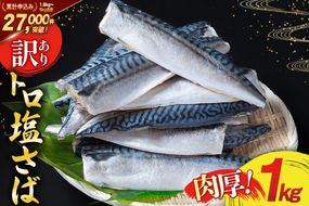 訳あり 塩サバ フィレ 1kg [足利本店 宮城県 気仙沼市 20565942] 魚介類 魚 海鮮 大容量 サバ さば 鯖 サバフィレ サバフィーレ 鯖フィレ 切り身 冷凍 訳アリ 訳あり わけあり トロサバ 減塩 とろさば