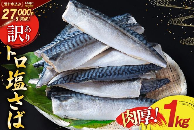 訳あり 塩サバ フィレ 1kg [足利本店 宮城県 気仙沼市 20565942] 魚介類 魚 海鮮 大容量 サバ さば 鯖 サバフィレ サバフィーレ 鯖フィレ 切り身 冷凍 訳アリ 訳あり わけあり トロサバ 減塩 とろさば