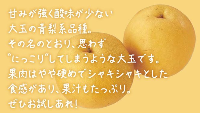 にっこり梨 約5kg (10～12玉)【2026年10月上旬発送開始】(茨城県共通返礼品：大子町) 梨 なし 果物 くだもの フルーツ にっこり