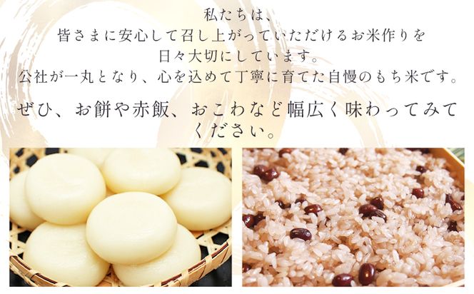 もち米 ５kg 【令和8年産】高知県香南市産 特別栽培米 nu-0018