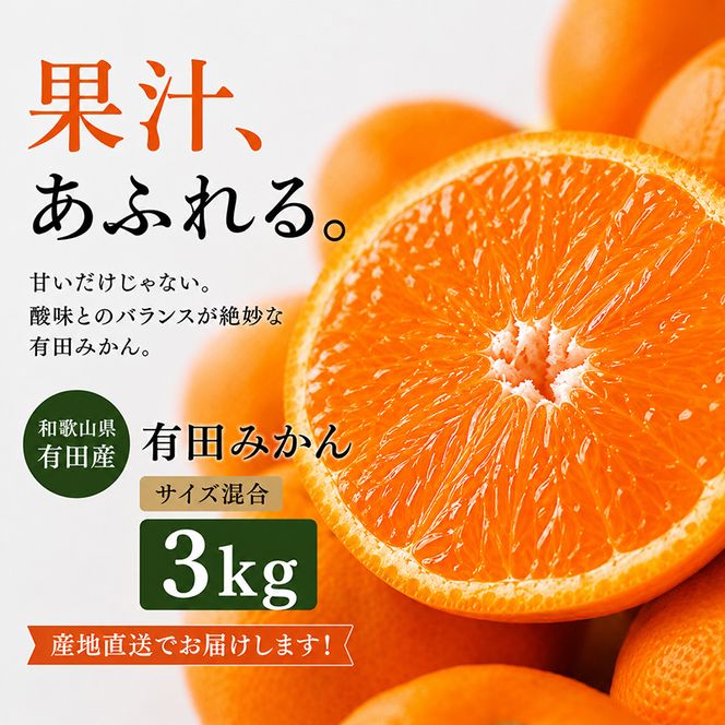 真農園 有田みかん 家庭用 約3kg 濃厚完熟 お試しサイズ （ご家庭用　2Sサイズ～Lサイズ混合）ORYY推奨_DA6108n