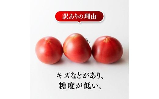 【訳あり】宮崎県産とまと 川南町産トマト１ｋｇ（９～１８個） 【 宮崎県産 九州産 川南町産 トマト とまと 野菜 ヘルシー 訳あり わけあり 】 [E6602]