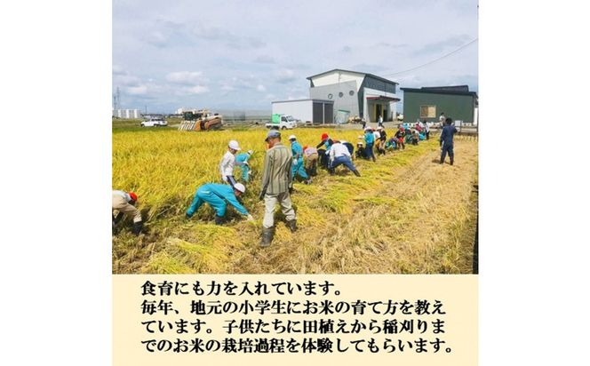 【日本農業賞大賞】特別栽培米コシヒカリ4.5kg精白米 172111_AE007