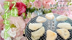 【 筑西市 ふるさと納税限定 コラボ 】 《 季節のお花アレンジメントS 》《 笑来餅 2個 セット（白2個） 》 アレンジメント 生花 ギフト プレゼント 誕生日 記念日 敬老 餅 もち もち米 [ZZ047ci]