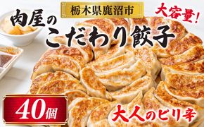 冷凍 生餃子 大人のピリ辛 肉屋の餃子（40個入り） 1パック