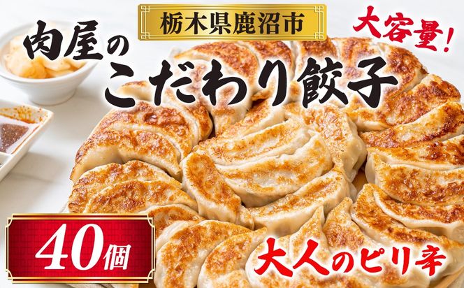 冷凍 生餃子 大人のピリ辛 肉屋の餃子（40個入り） 1パック
