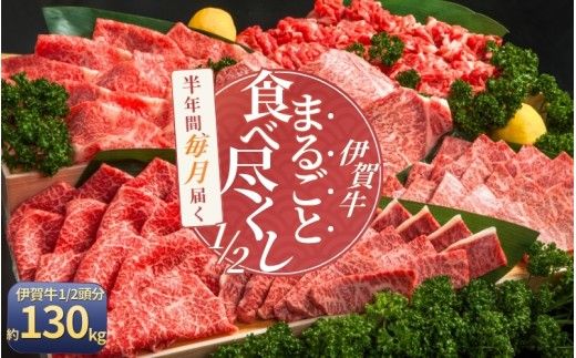 【月3×6回　計18回発送】肉の横綱　伊賀牛１/2まるごと食べ尽くし【cook-tkb0006】