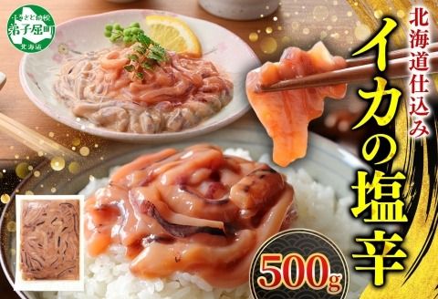 3163. イカの塩辛 500g イカ スルメイカ いか 珍味 海鮮 魚介 送料無料 北海道 弟子屈町
