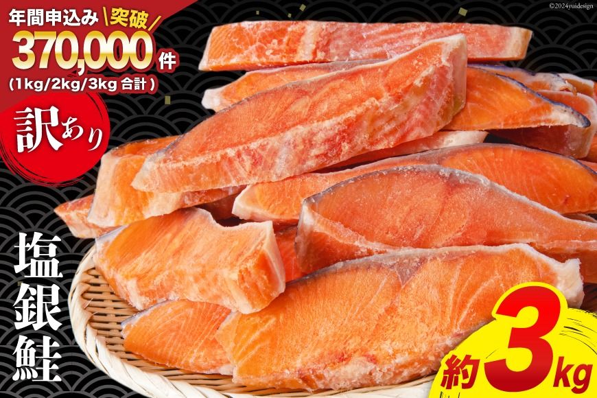 鮭 訳あり 銀鮭 切身 約3kg [宮城東洋 宮城県 気仙沼市 20564992] 鮭 魚介類 海鮮 訳アリ 規格外 不揃い さけ サケ 鮭切身 シャケ 切り身 冷凍 家庭用 おかず 弁当 支援 サーモン 銀鮭切り身 魚 わけあり CF01