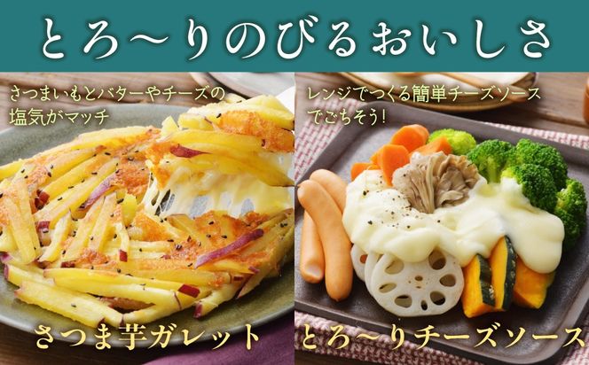 よつ葉北海道十勝　3種のチーズ《贅沢モッツァレラブレンド》 12袋【選べる回数】1回 / 毎月3回 / 隔月3回 / 3カ月毎3回 / 毎月4回 / 隔月4回 / 3カ月毎4回 / 隔月6回 / 定期12ヵ月【 ふるさと納税 人気 おすすめ ランキング よつ葉 乳製品 贈答 プレゼント 贈り物 ギフト ごほうび セット 北海道産 十勝産 北海道 鹿追町 送料無料 】 SKA064-v