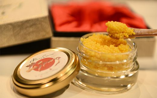 アルマスキャビアジパング F4N-2754