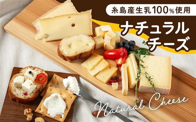 【全3回定期便】 糸島産 生乳 100％ 使用 手作り チーズ 充実 7種 セット 糸島市 / 糸島ナチュラルチーズ製造所TAK-タック-[AYC006]