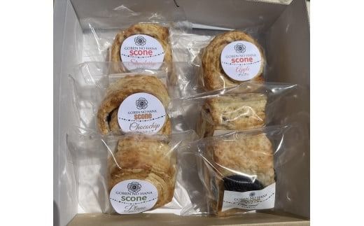 ns068-002　【ティータイムや朝食にも】手作りスコーン6種おためし食べ比べセット【 栃木県 那須塩原市 】