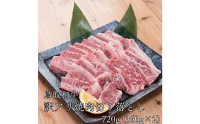 鳥取和牛　【訳アリ】焼肉切り落とし　720g（360g×2P） 313726_DC014