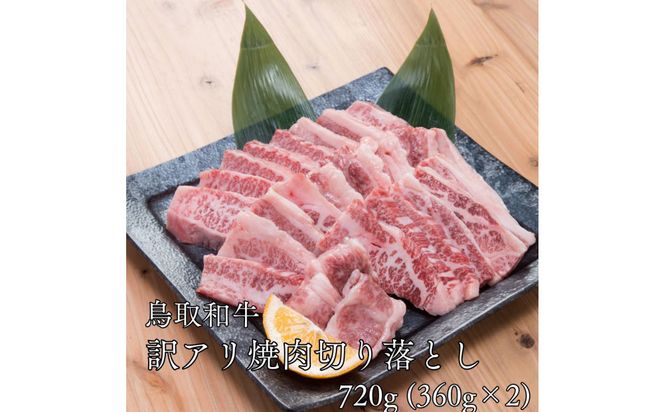 鳥取和牛　【訳アリ】焼肉切り落とし　720g（360g×2P） 313726_DC014