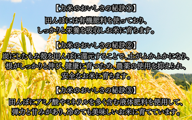 勝山の力米 ミルキークィーン 白米 ２kg×2袋 ｜ お米 米 岡山米 ブランド こめ ごはん 白米 岡山県 真庭市 人気 【mwgk001-01】
