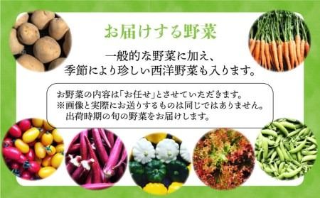 【全6回定期便】【☆畑直送☆限定販売！栽培期間中農薬不使用！】お 米 2kg & 野菜 7品 の セット 糸島市 / オーガニックナガミツファーム [AGE037]