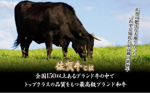 500g【佐賀牛】ローススライス（すき焼き・しゃぶしゃぶ） D-613