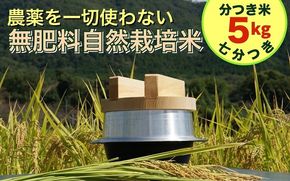 米 令和6年産【七分つき】自然栽培米 にこまる ＜農薬を一切使わない無肥料栽培＞ 分つき米5kg・精米したて 《新米 京都丹波産 無農薬米栽培向き 厳選品種》 ※2024年10月中旬頃より順次発送予定