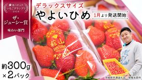 「食べチョクいちごグランプリ2026」味わい部門「ザ・ジューシー賞」 やよいひめ ( 2パック ) 特大 デラックス サイズ 【 2026年1月から発送開始 】 ( 茨城県共通返礼品 : 常陸太田市 ) 約 300g × 2 パック やよいひめ ヤヨイヒメ 弥生姫 いちご 数量限定 果物 くだもの フルーツ 苺 イチゴ 期間限定 [ES012us]