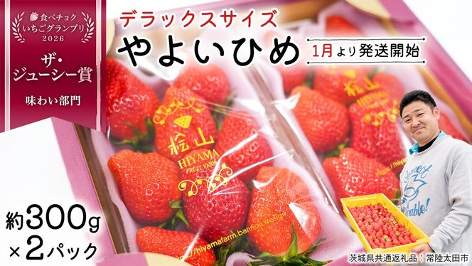 「食べチョクいちごグランプリ2026」味わい部門「ザ・ジューシー賞」 やよいひめ ( 2パック ) 特大 デラックス サイズ 【 2026年1月から発送開始 】 ( 茨城県共通返礼品 : 常陸太田市 ) 約 300g × 2 パック やよいひめ ヤヨイヒメ 弥生姫 いちご 数量限定 果物 くだもの フルーツ 苺 イチゴ 期間限定 [ES012us]