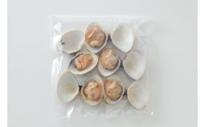 千葉県九十九里産 焼きはまぐり 800g 魚介類 貝類 魚貝類 はまぐり 蛤 