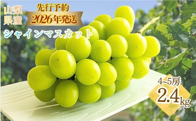 【2026年先行予約】　シャインマスカット約2.4kg（4~5房） FB042