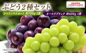 ぶどう 2026年 先行予約 シャインマスカット 約700g 1房 オーロラブラック 約600g 1房 葡萄 岡山県 赤磐市産 フルーツ 果物